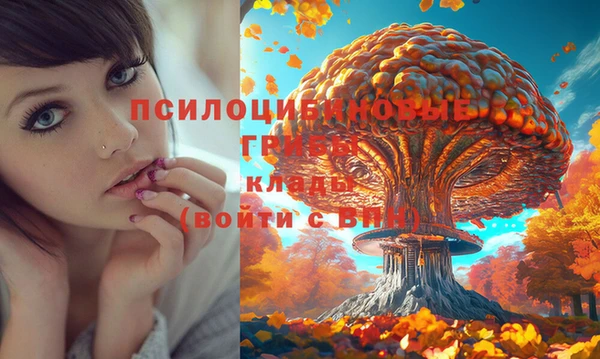 не бодяженный Баксан